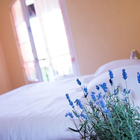 Апартаменты Ferme Typique Alsacienne