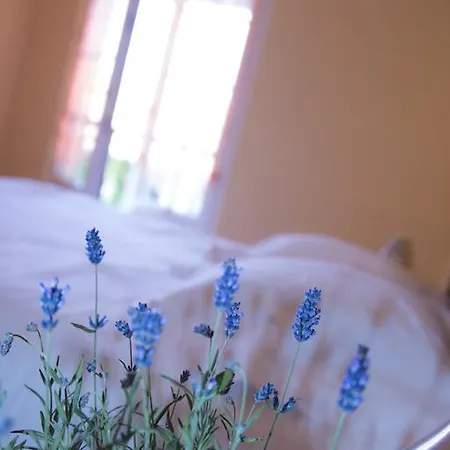 Apartment Ferme Typique Alsacienne