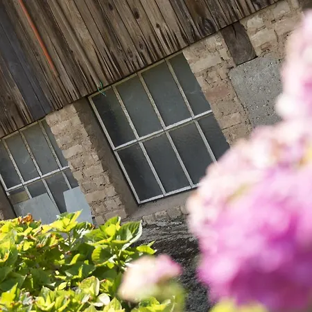 Апартаменты Ferme Typique Alsacienne