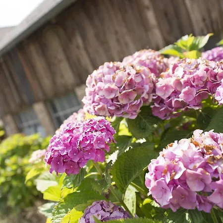 Апартаменты Ferme Typique Alsacienne