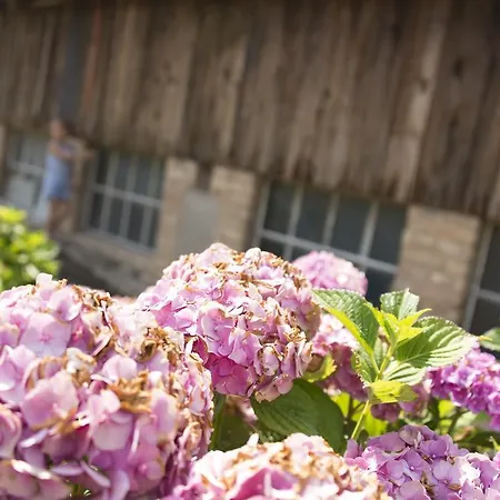 Ferme Typique Alsacienne
