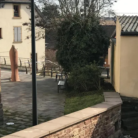 费尔米阿尔萨斯尼典型酒店 * Truchtersheim