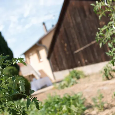 Апартаменты Ferme Typique Alsacienne