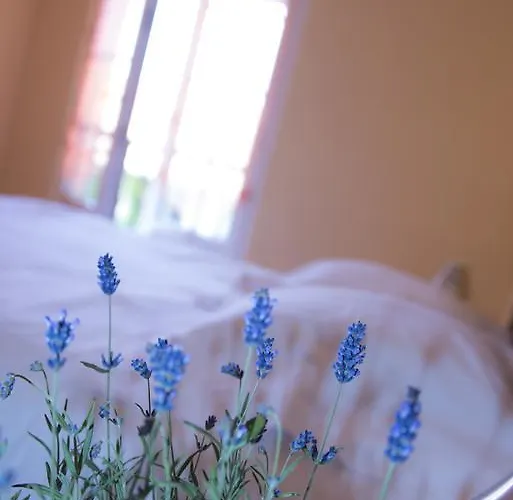 Apartamento Ferme Typique Alsacienne