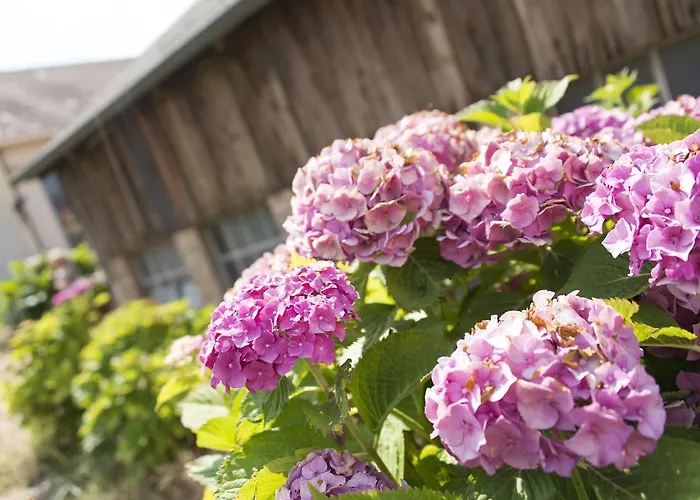 Apartamento Ferme Typique Alsacienne