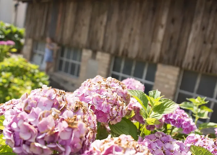 Ferme Typique Alsacienne