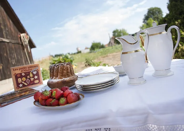 Ferme Typique Alsacienne Truchtersheim