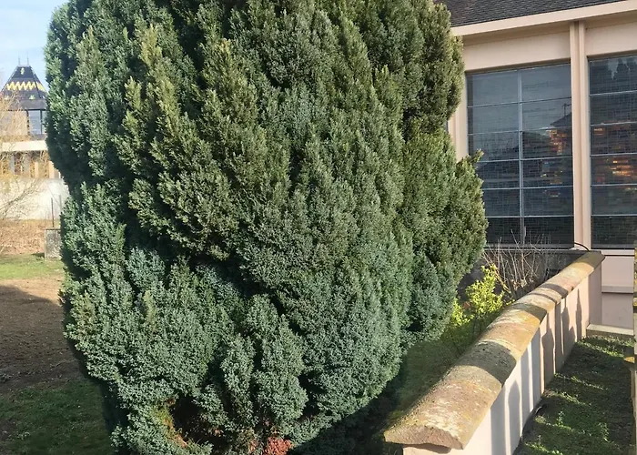 Ferme Typique Alsacienne Truchtersheim