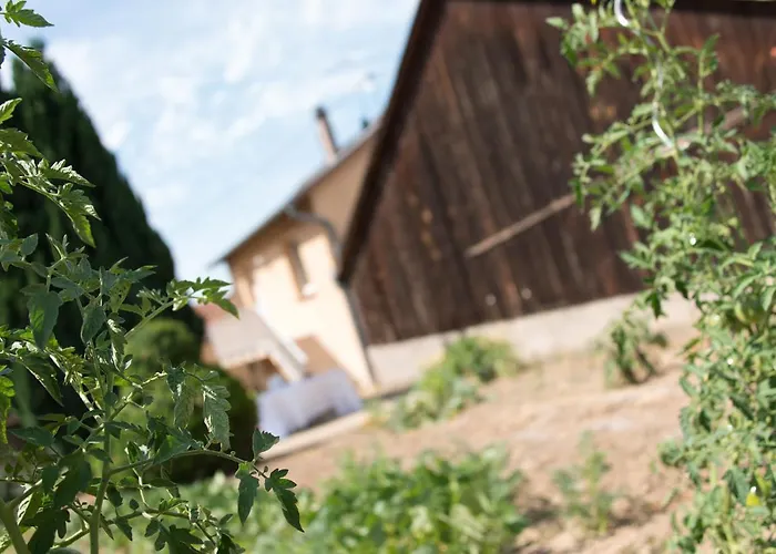 Apartamento Ferme Typique Alsacienne